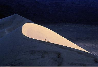 《最后的生还者》艾需的信件全部由开发团队手写